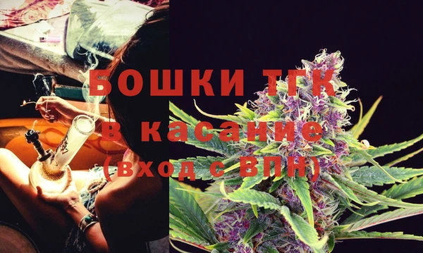 PSILOCYBIN Волоколамск