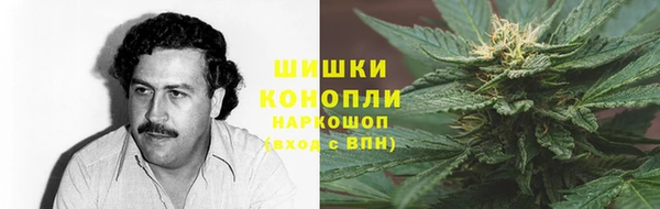PSILOCYBIN Волоколамск