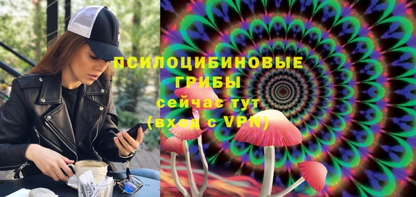 сатива Волосово