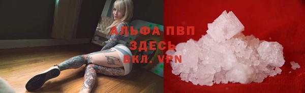 сатива Волосово