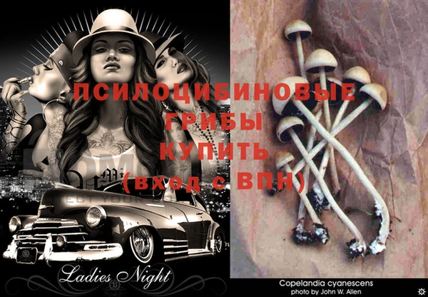 PSILOCYBIN Волоколамск