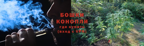 сатива Волосово