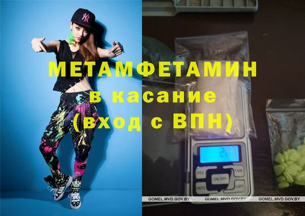 сатива Волосово