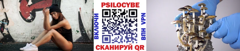 Купить закладки Сальск Псилоцибиновые грибы ЛСД
